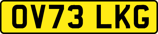 OV73LKG