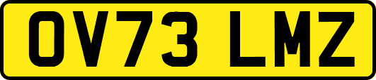 OV73LMZ