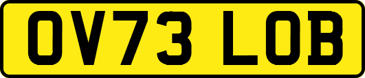 OV73LOB