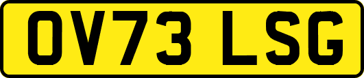 OV73LSG