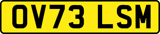 OV73LSM