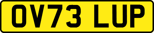 OV73LUP