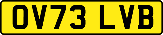 OV73LVB