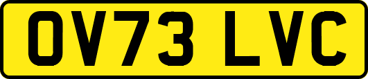 OV73LVC