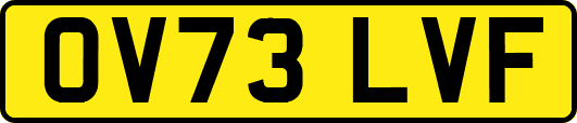 OV73LVF