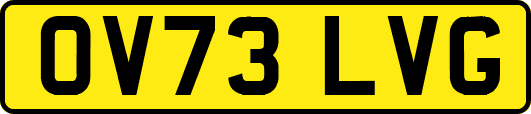 OV73LVG
