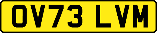 OV73LVM