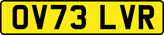 OV73LVR