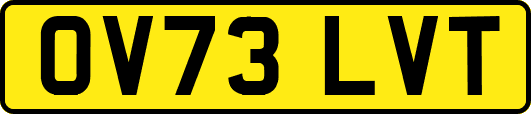 OV73LVT