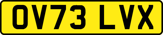 OV73LVX