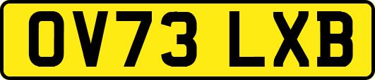 OV73LXB