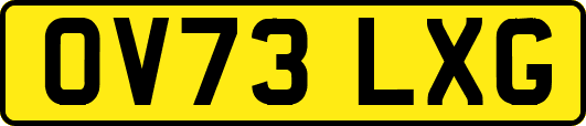 OV73LXG