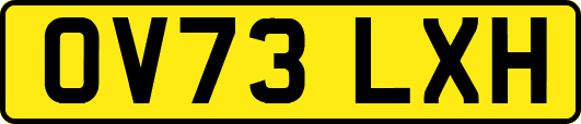 OV73LXH