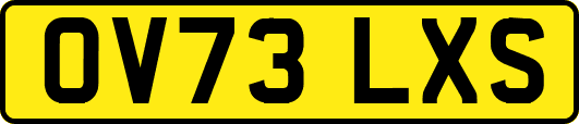 OV73LXS