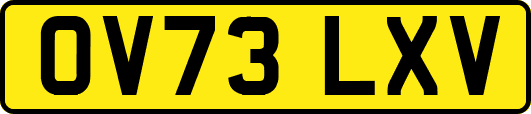 OV73LXV