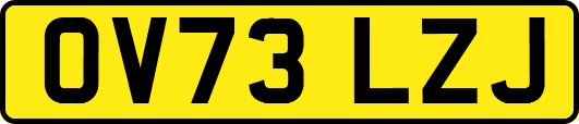 OV73LZJ