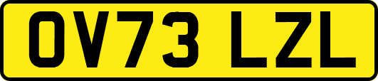 OV73LZL
