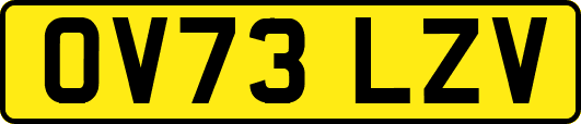 OV73LZV