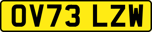 OV73LZW