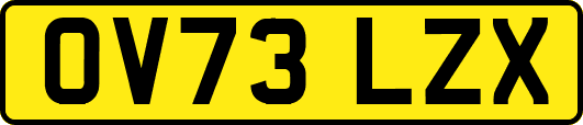 OV73LZX