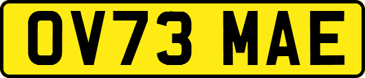 OV73MAE