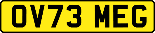 OV73MEG