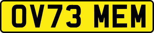OV73MEM