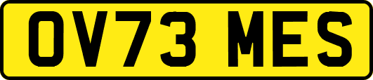 OV73MES