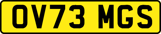 OV73MGS