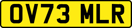 OV73MLR