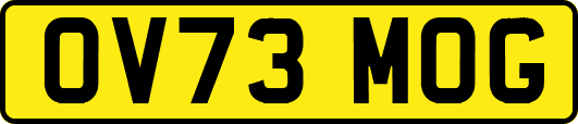 OV73MOG