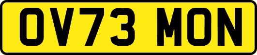 OV73MON