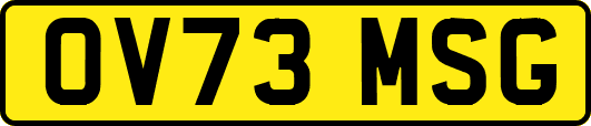 OV73MSG