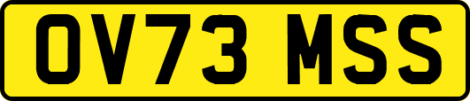 OV73MSS