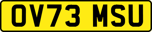 OV73MSU