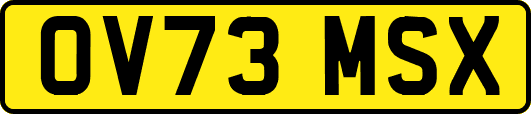 OV73MSX