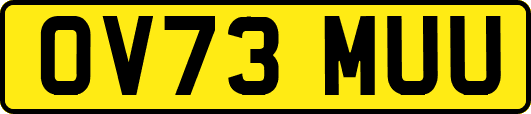 OV73MUU