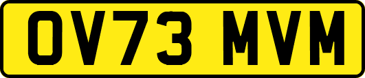 OV73MVM