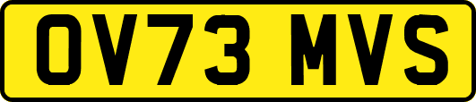 OV73MVS