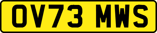 OV73MWS
