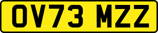 OV73MZZ