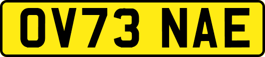 OV73NAE