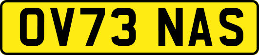 OV73NAS