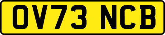 OV73NCB