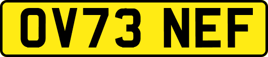 OV73NEF