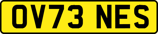 OV73NES