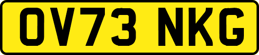 OV73NKG