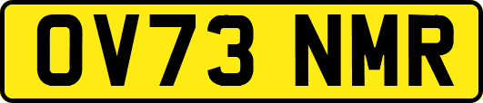 OV73NMR