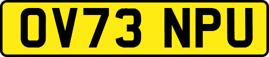 OV73NPU