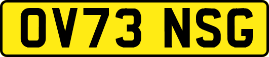 OV73NSG
